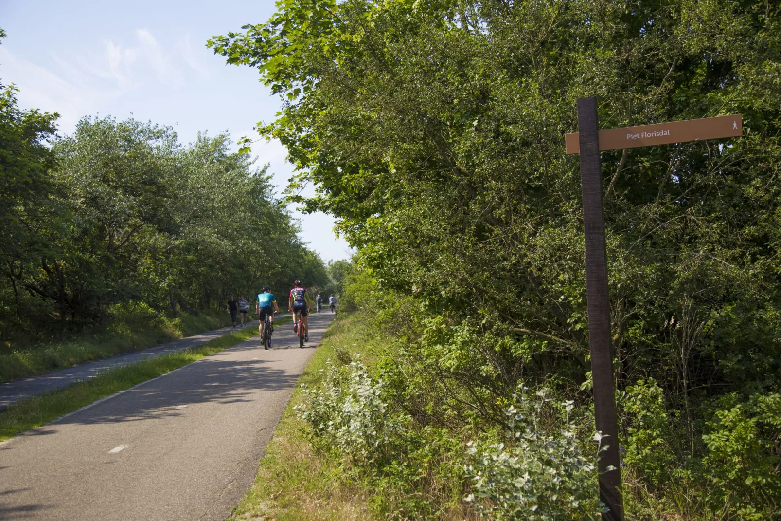 Vakantiepark Duinrust 3-Areas summer 1km