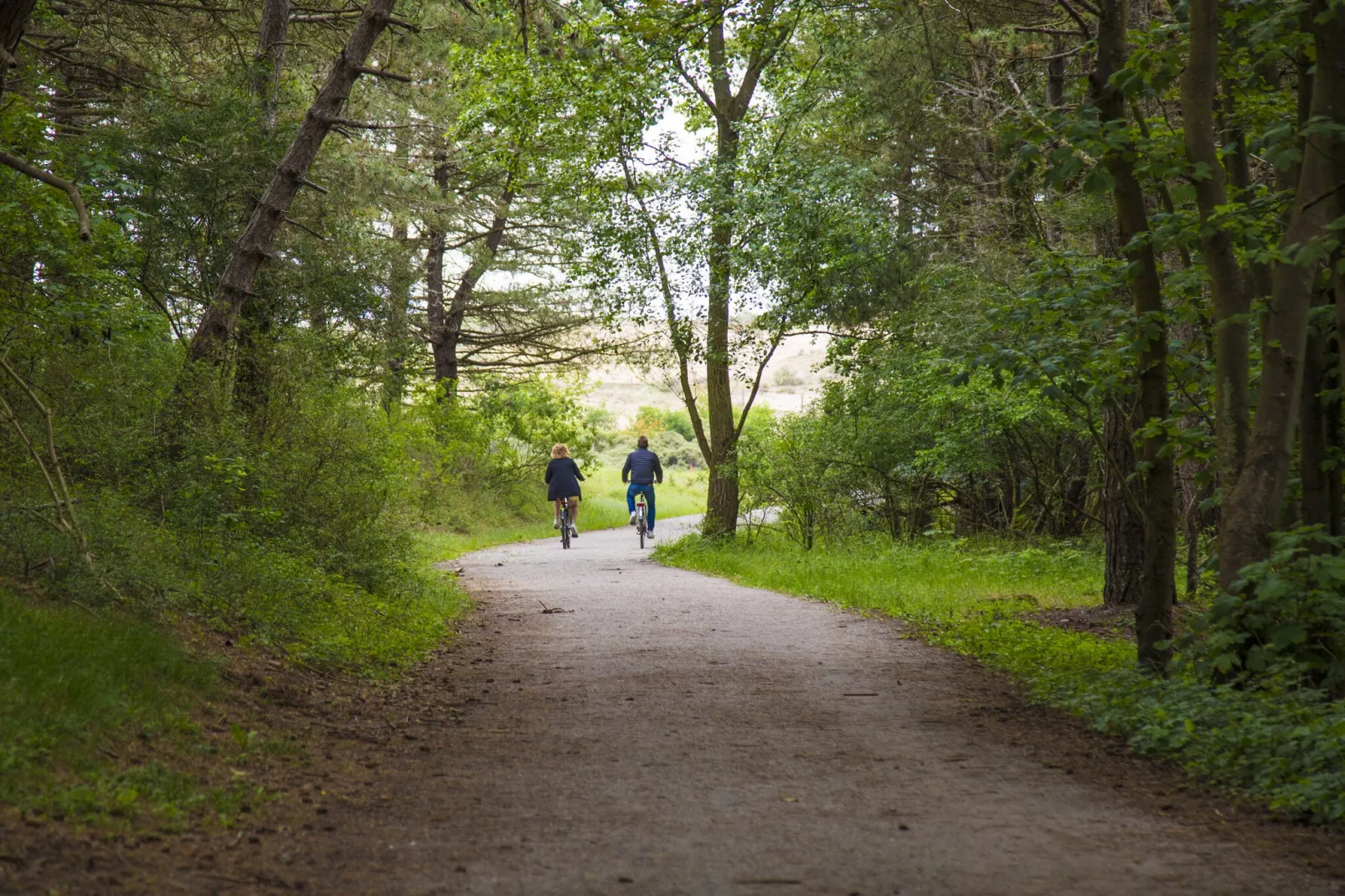 Vakantiepark Duinrust 3-Areas summer 5km