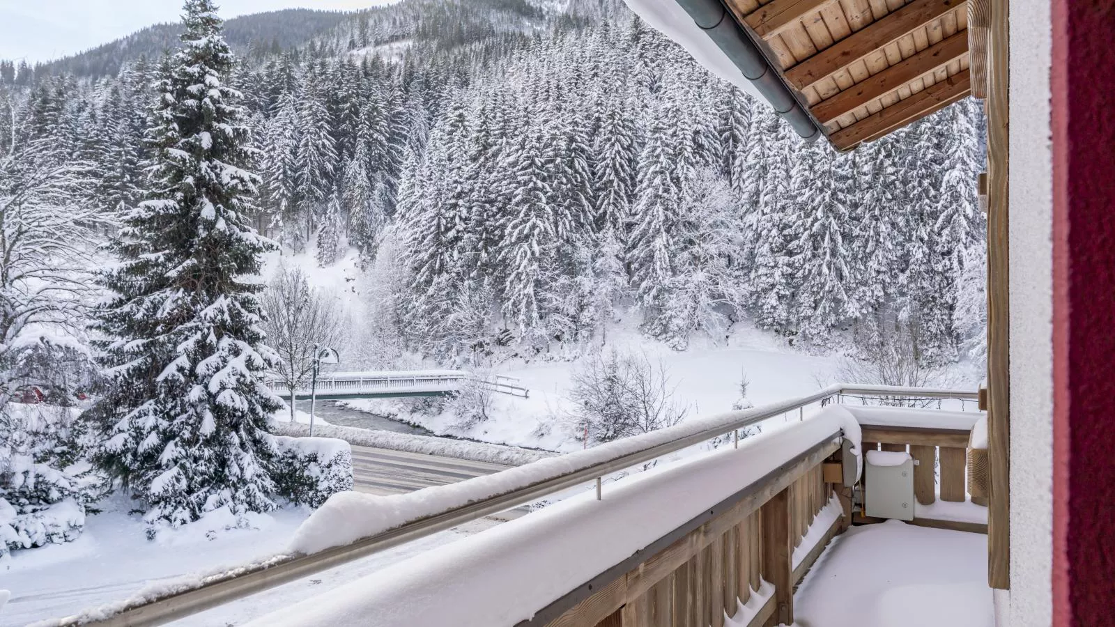 Neva S Saalbach-View winter