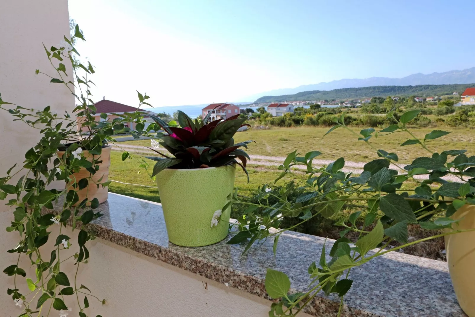 Apartman  Barbara-View summer