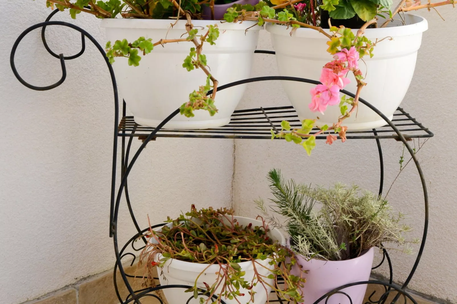 Apartman  Barbara-Terrace balcony