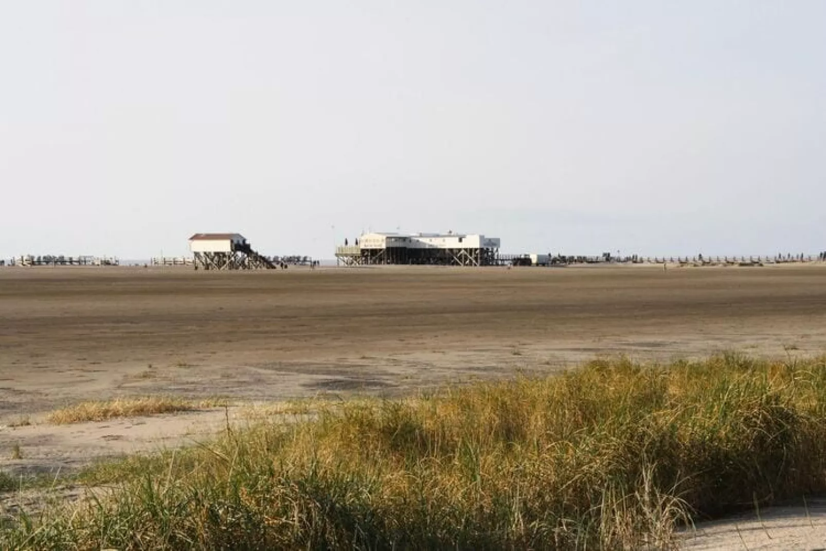 Reihenhaus Deichblick 2 Pers St Peter - Ording - Areas within 5km in summer