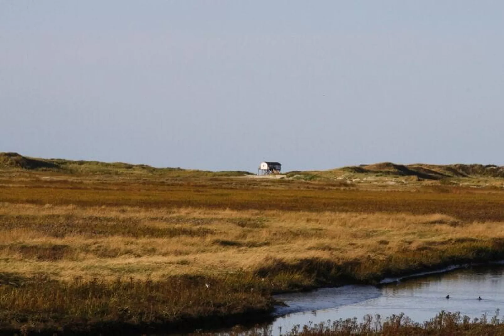 Reihenhaus Deichblick 2 Pers St Peter - Ording - Areas within 20km in summer