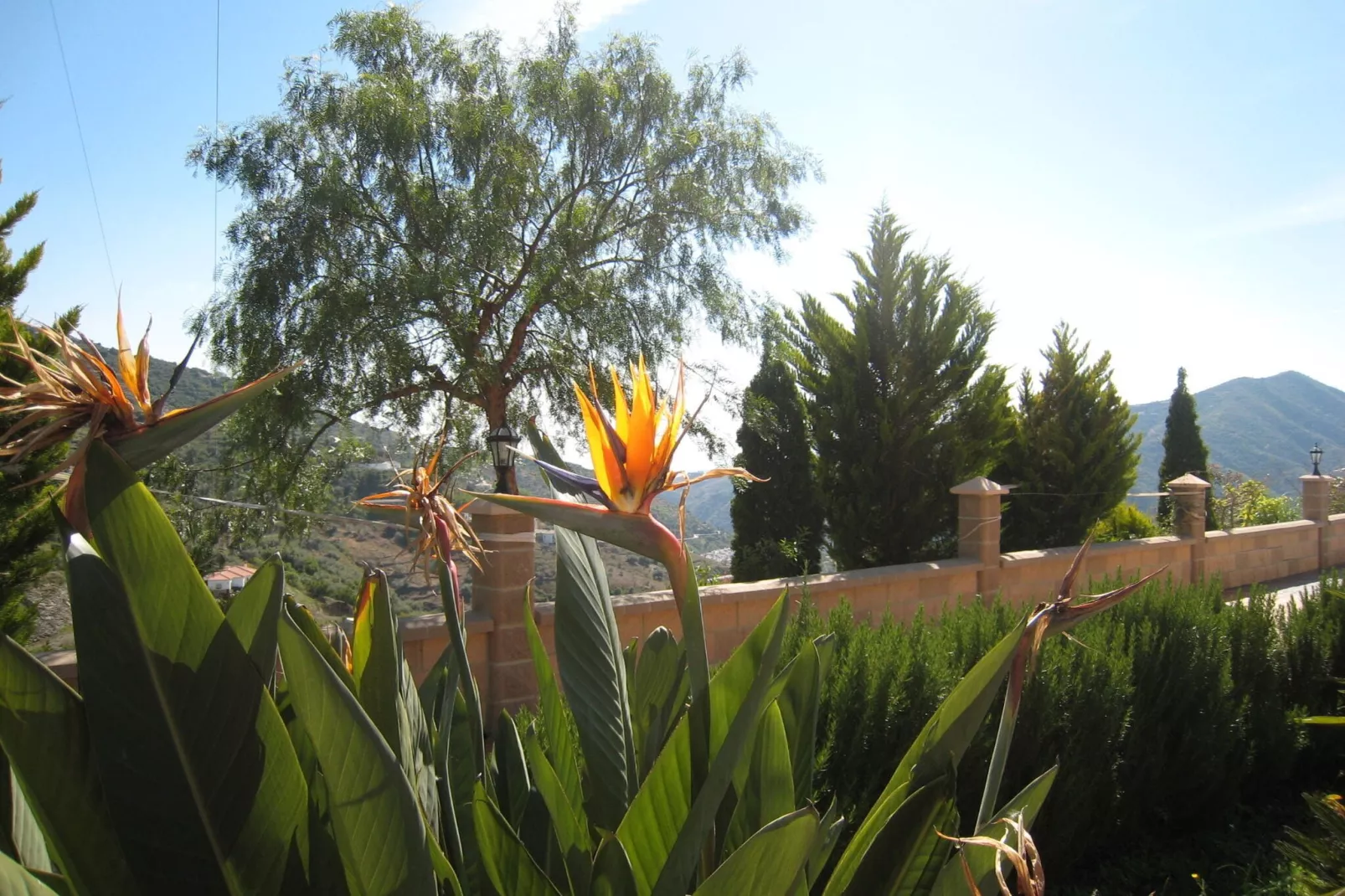 Villa Ilusión II-Gardens summer