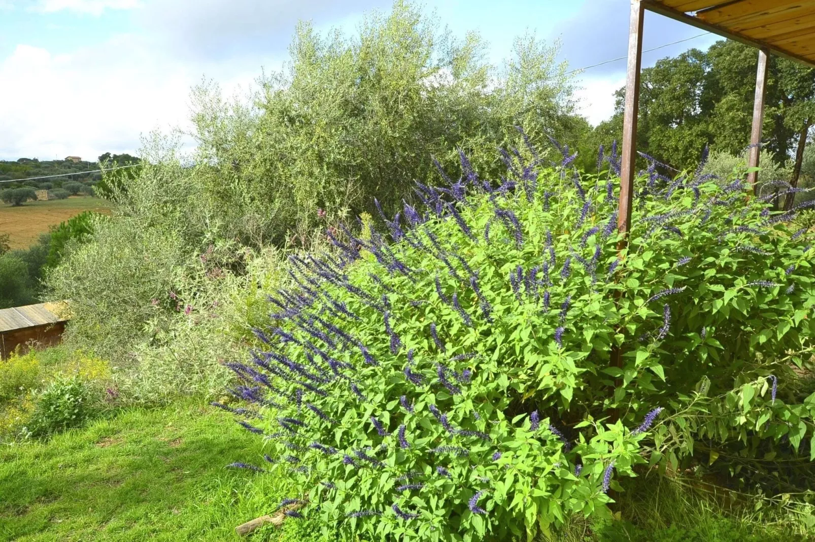 Riserva del Noce-Gardens summer