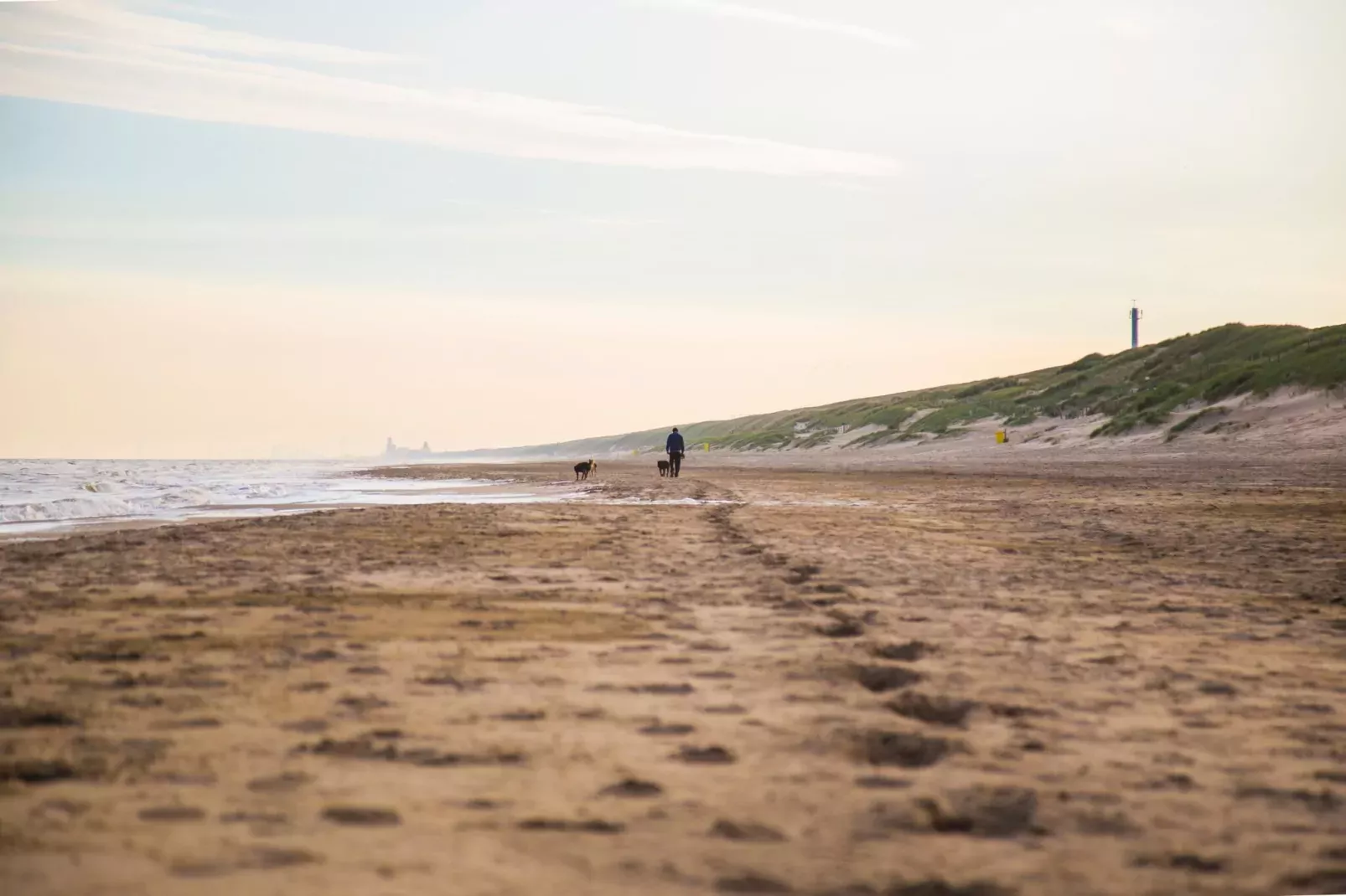 Vakantiepark Duinrust 2-Gebiete Sommer 5 km