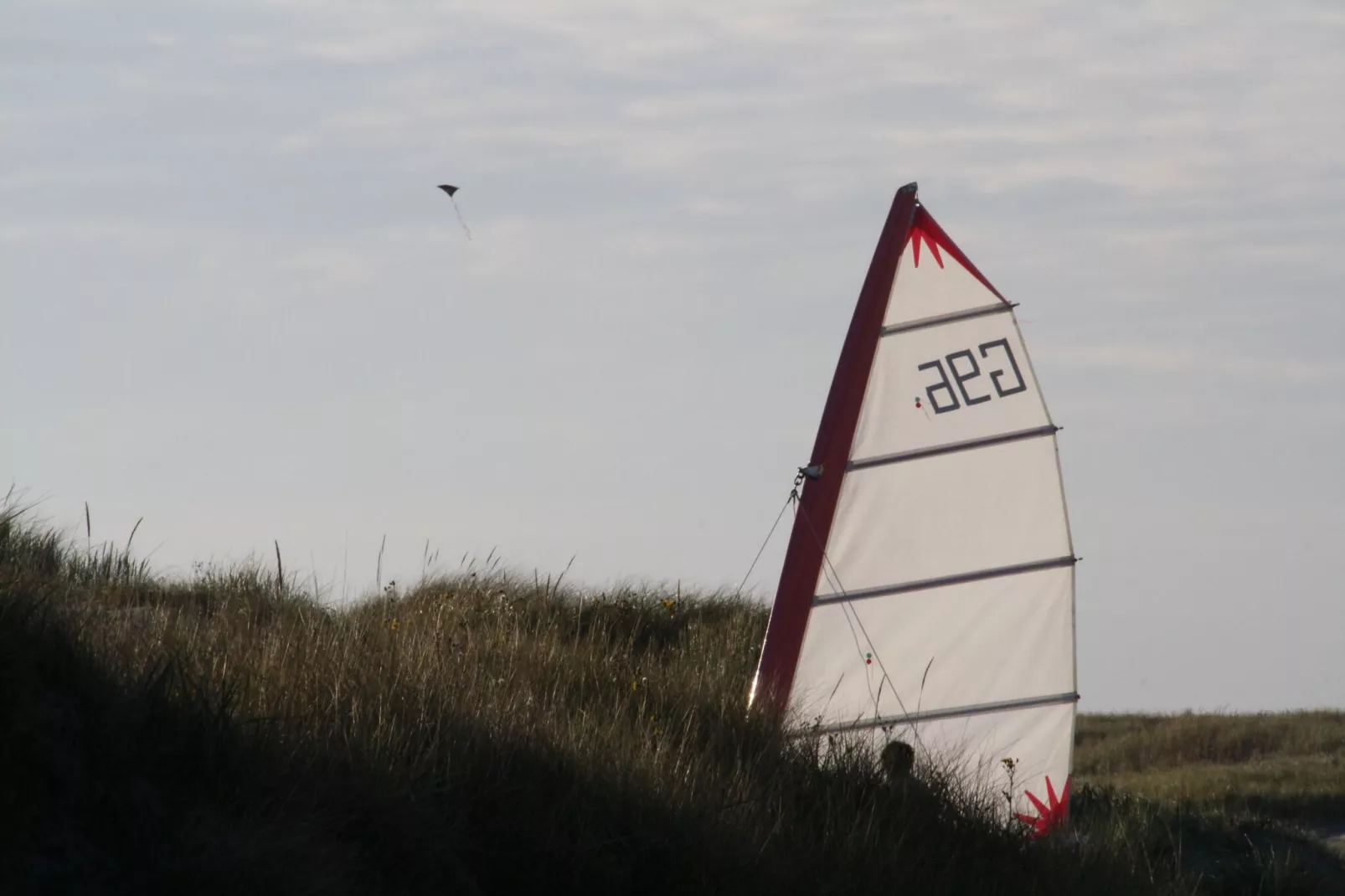 Reihenhaus Deichblick 4 Pers St Peter - Ording - Areas within 5km in summer