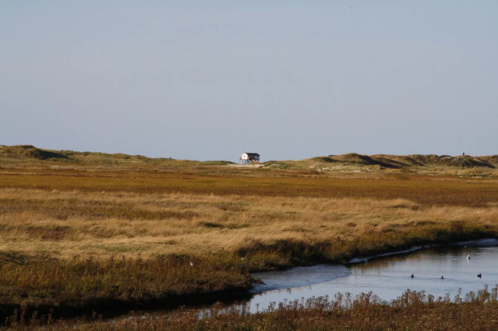 Reihenhaus Deichblick 4 Pers St Peter - Ording - Areas within 20km in summer