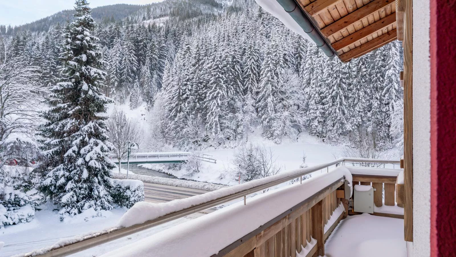 Neva Saalbach-View winter