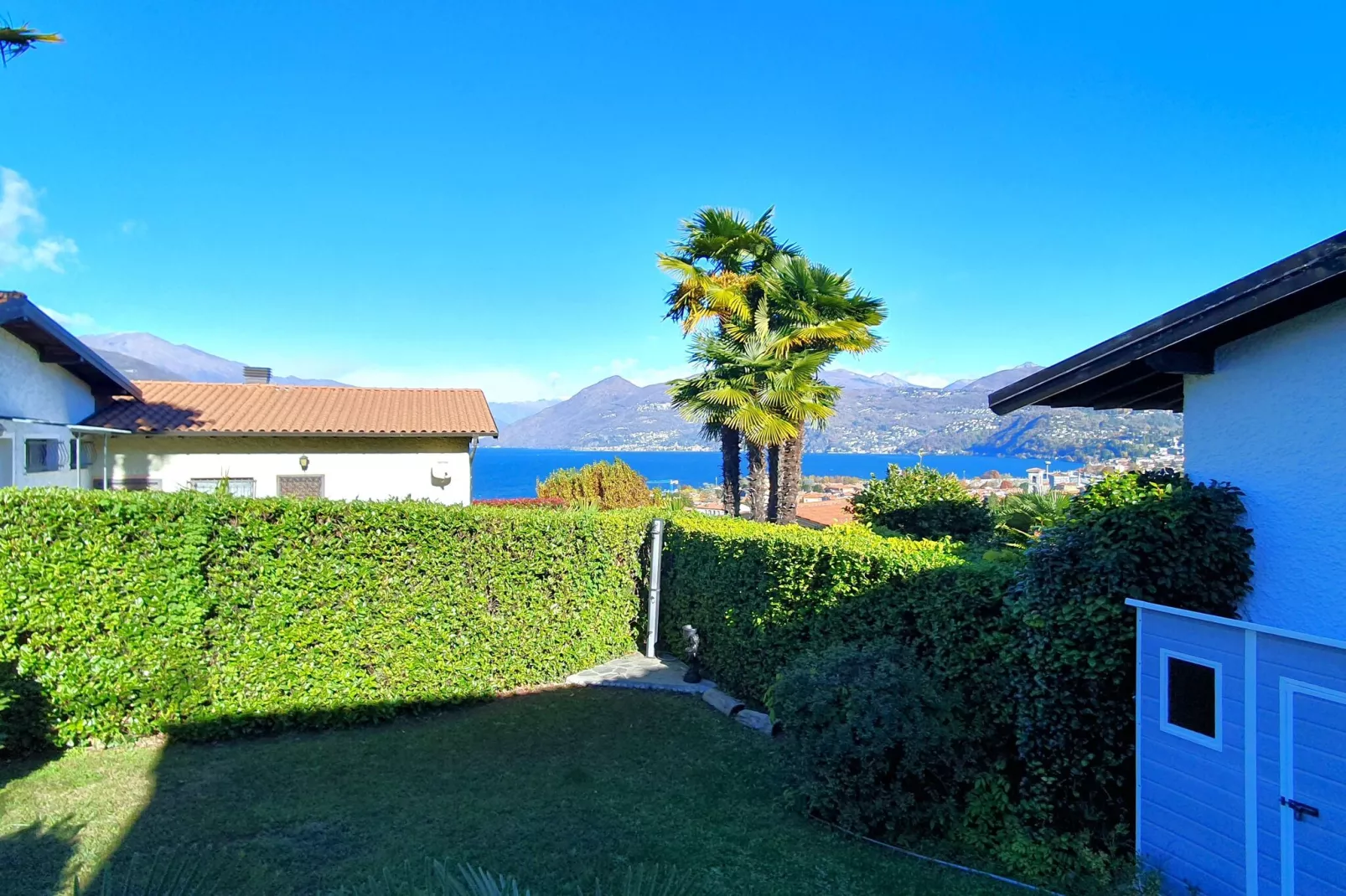 ROL8-View summer