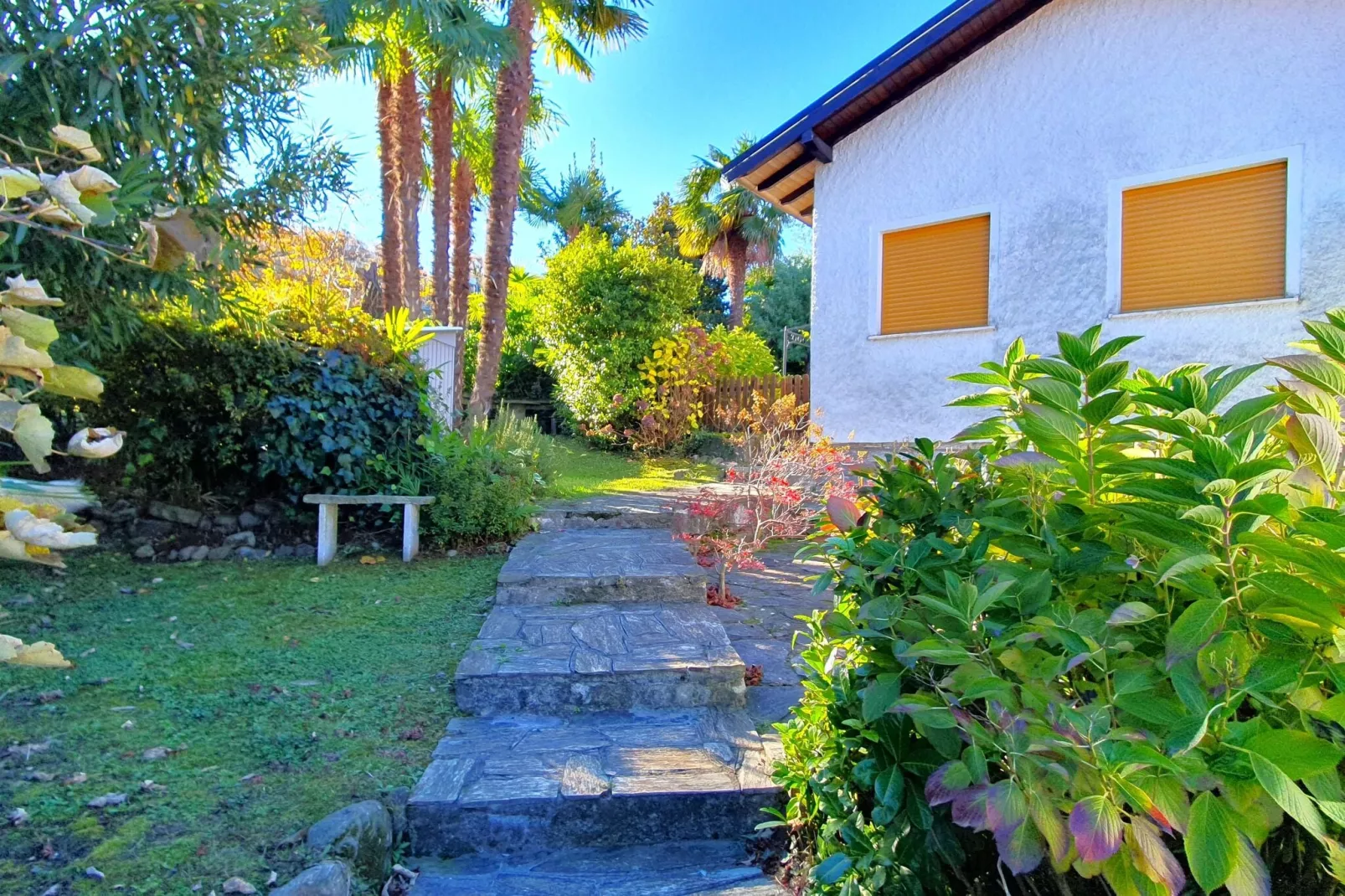 ROL8-Exterior summer