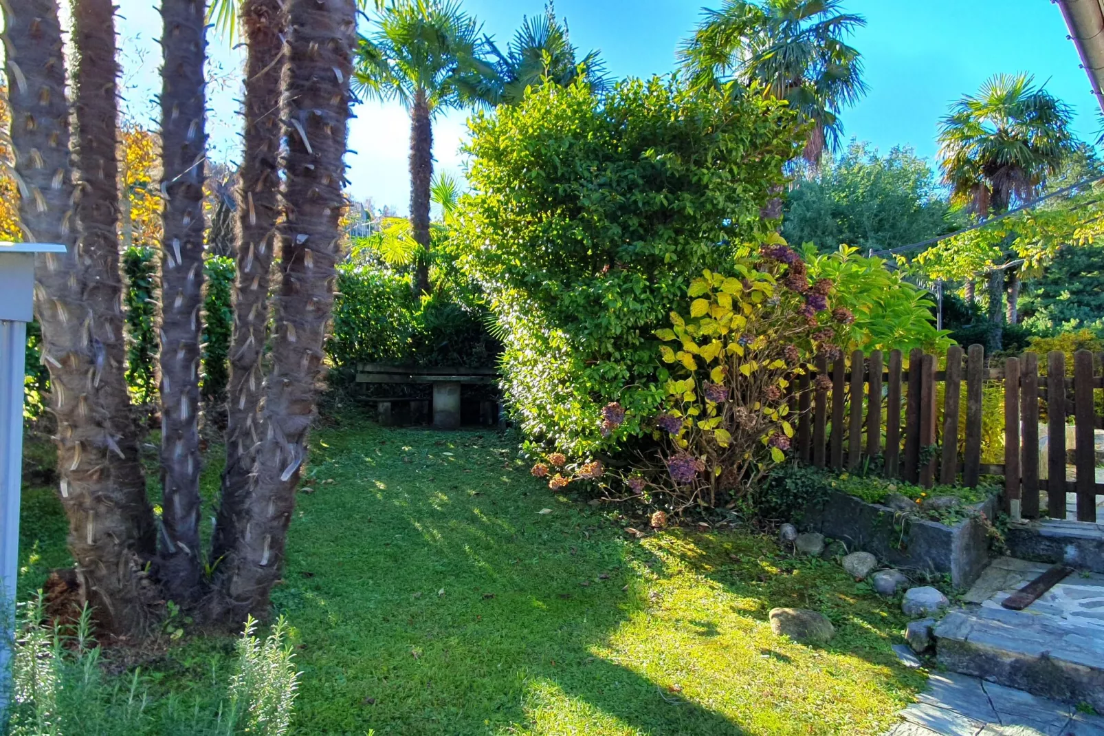 ROL8-Gardens summer