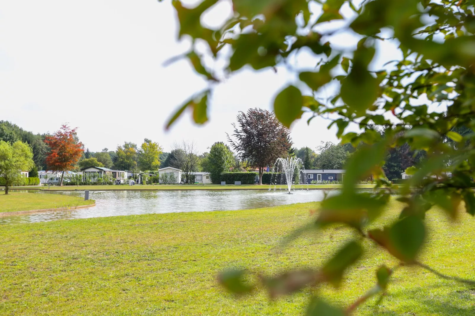 Vakantiepark Molenvelden 9-Areas summer 1km