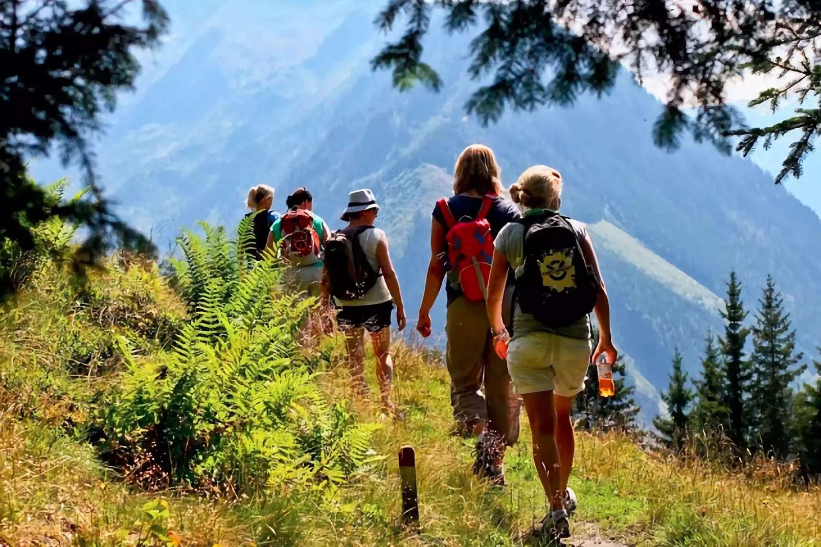 Appartement An der Piste-Areas summer 5km