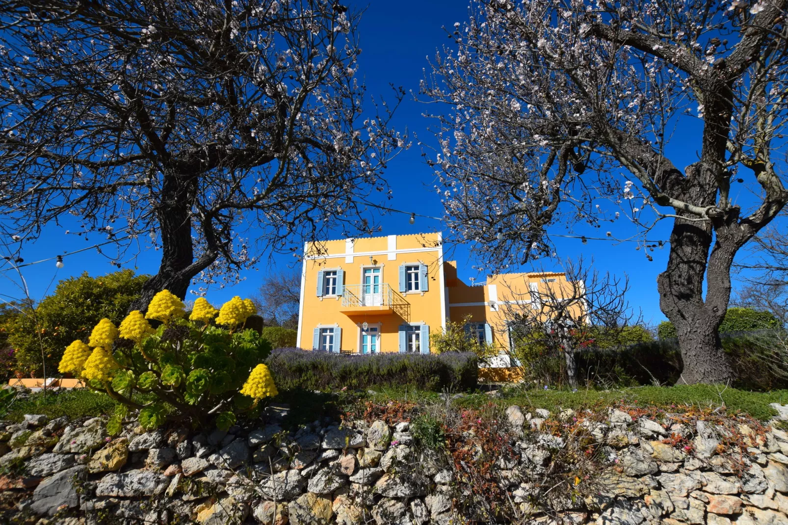 Quinta Amarela XXL-Außenbereich Sommer