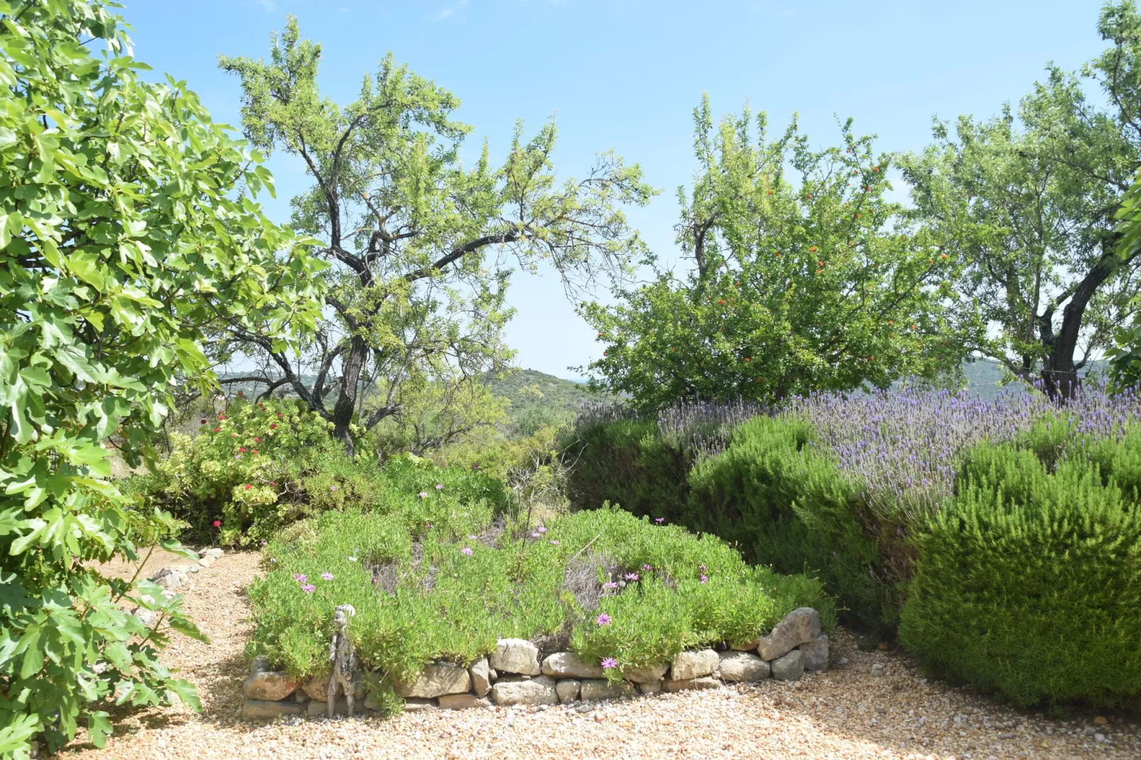 Quinta Amarela-Gärten Sommer