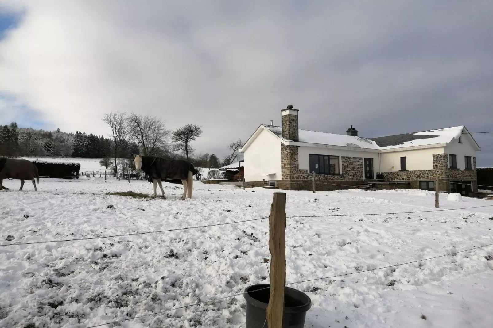 Très belle habitation à Lierneux pour 5 adultes-Extérieur hiver