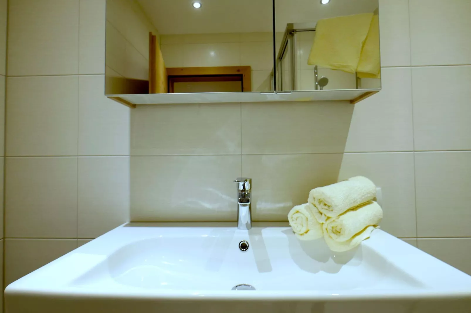 Zirben Heim-Bathroom
