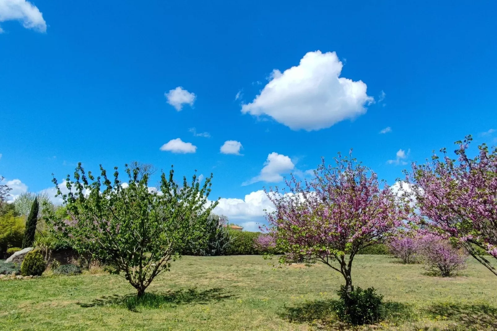 LA BOUSCADE GUESTHOUSE-Gardens summer