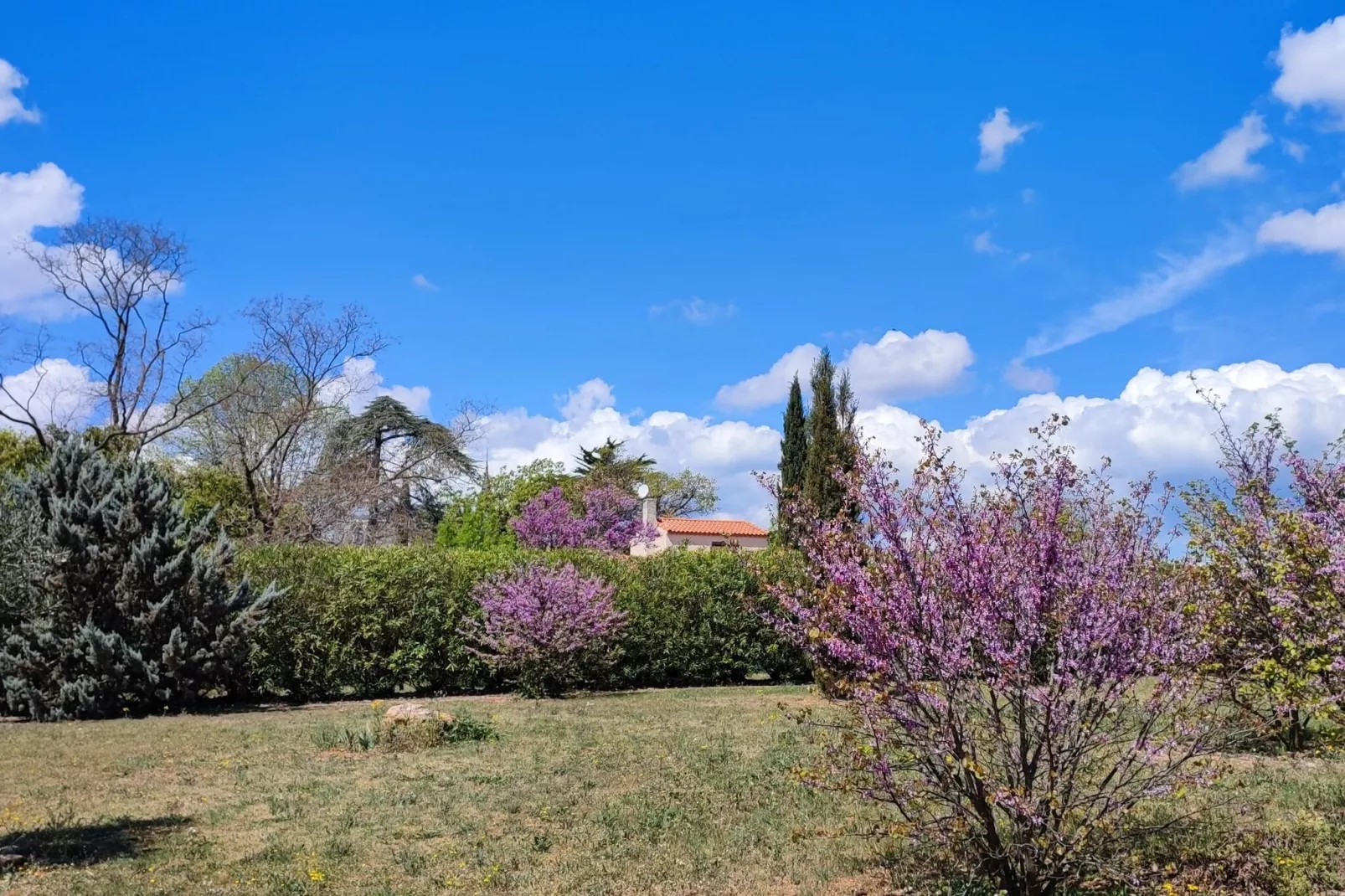 LA BOUSCADE GUESTHOUSE-Gardens summer