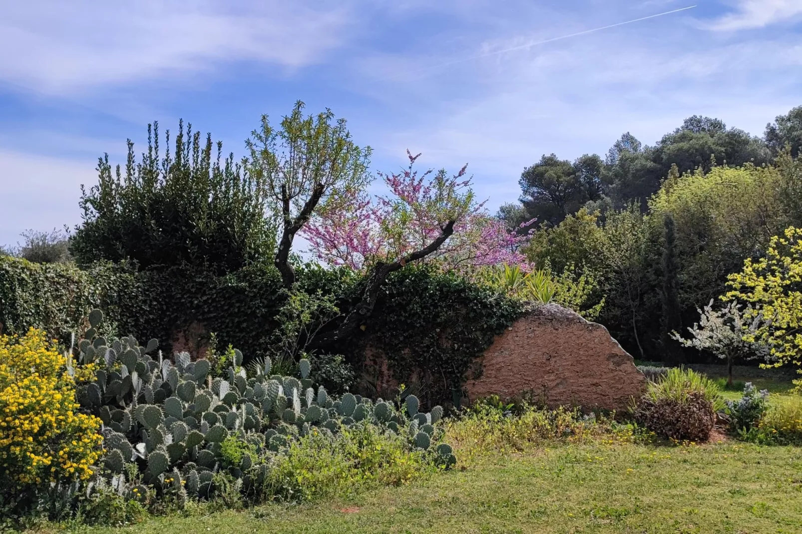 LA BOUSCADE GUESTHOUSE-Gardens summer