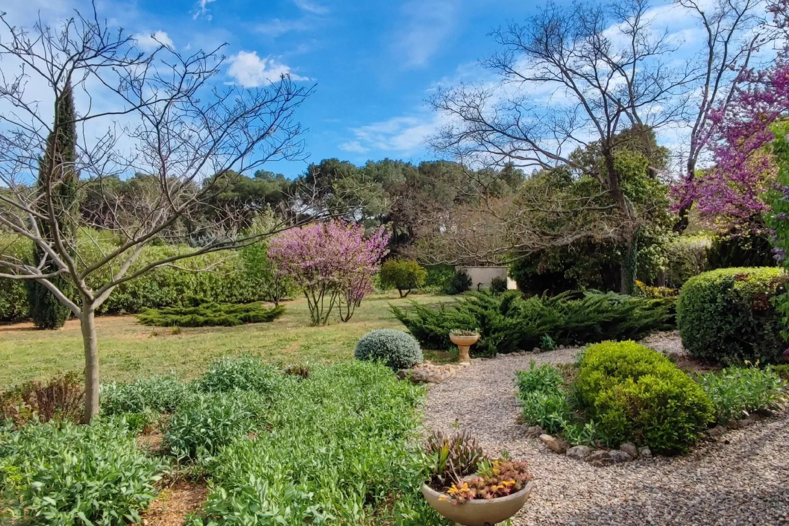 LA BOUSCADE GUESTHOUSE-Gardens summer