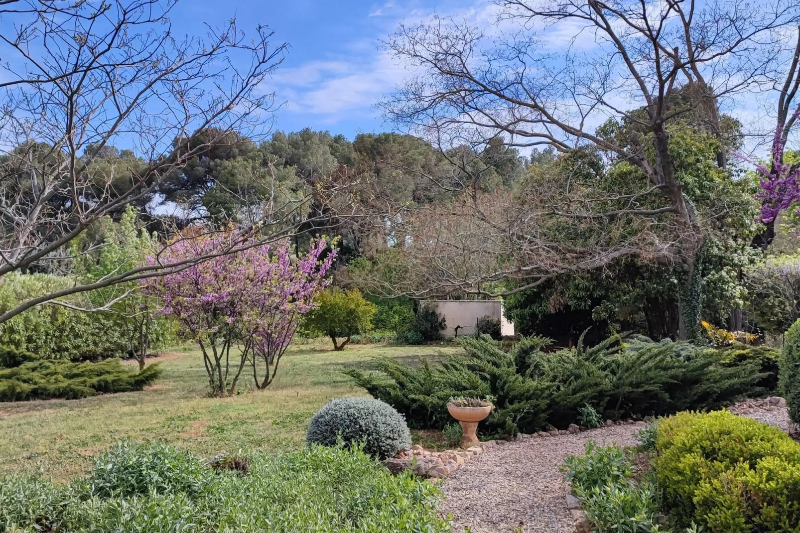 LA BOUSCADE GUESTHOUSE-Gardens summer