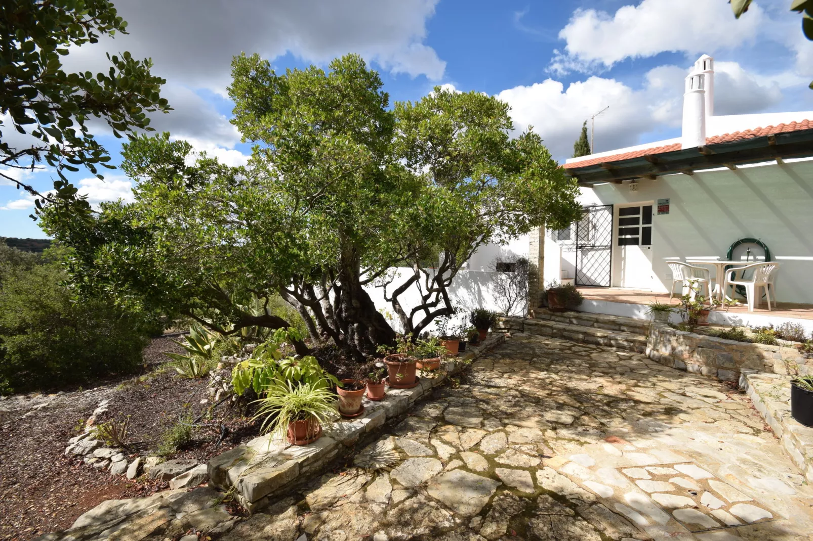 Casa o Sonho-Gardens summer
