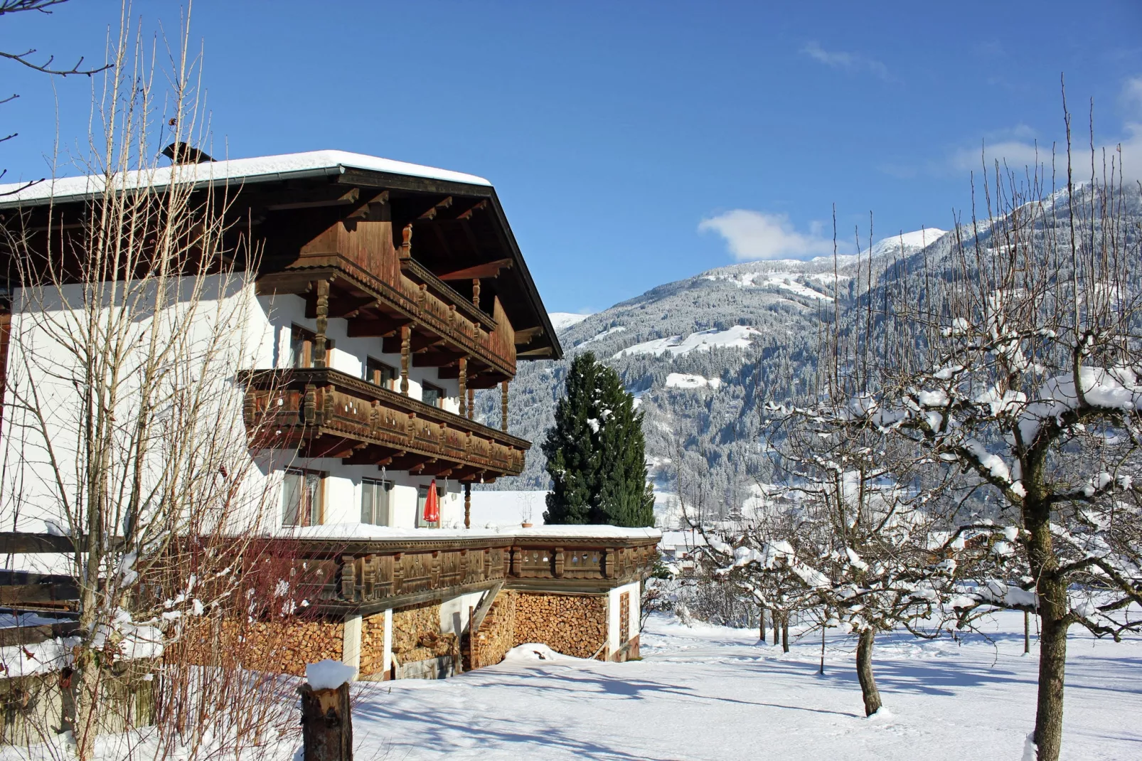 Apartment Luxner - Außenbereich Winter