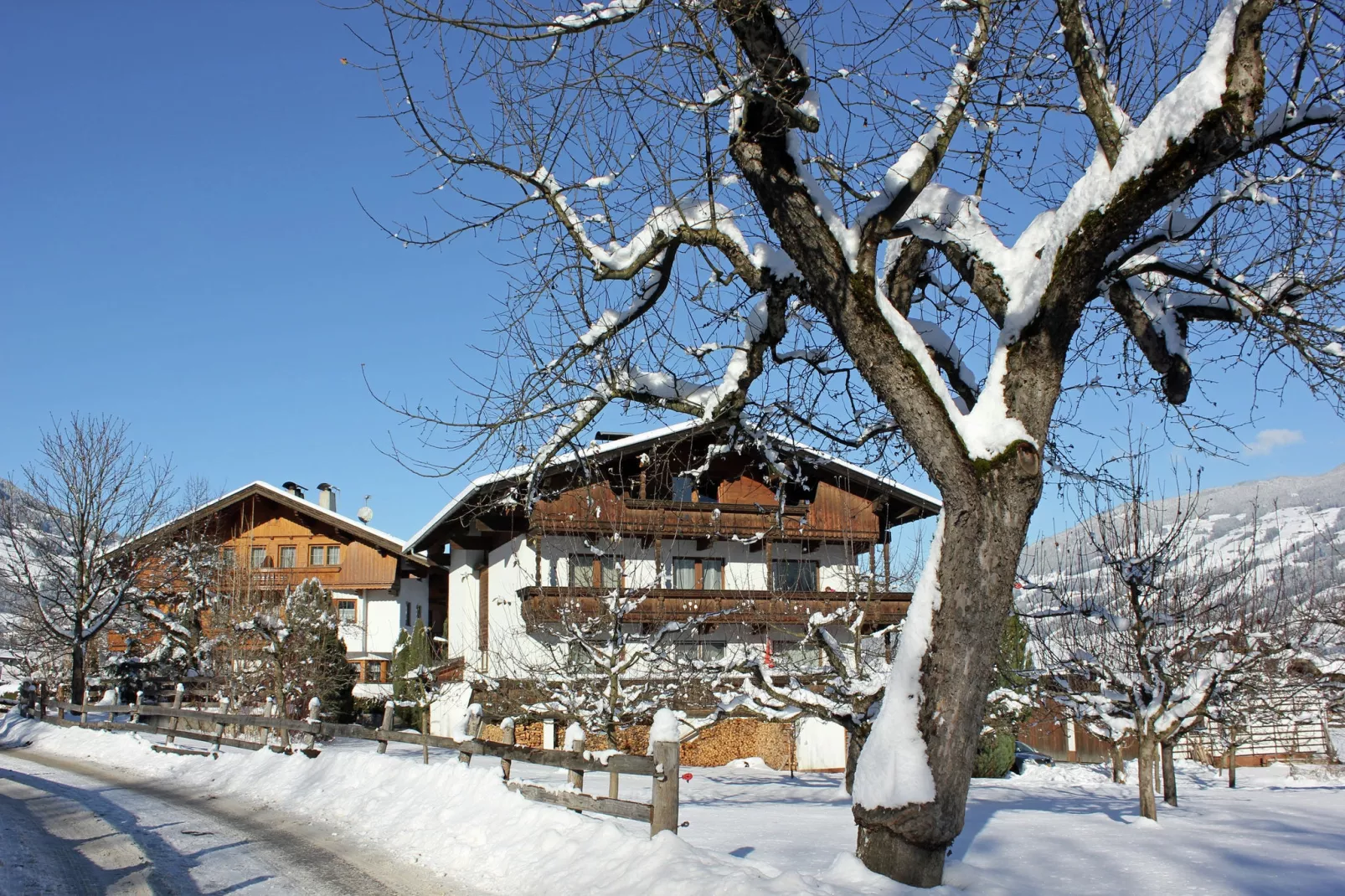 Apartment Luxner - Außenbereich Winter