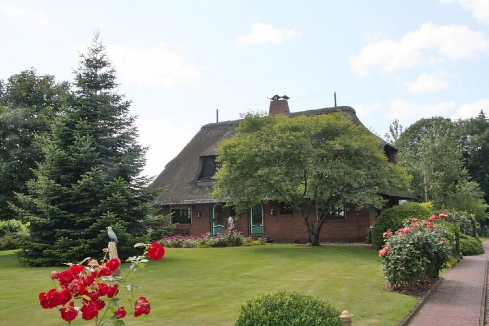 Ferienhaus Humptrup-Außenbereich Sommer