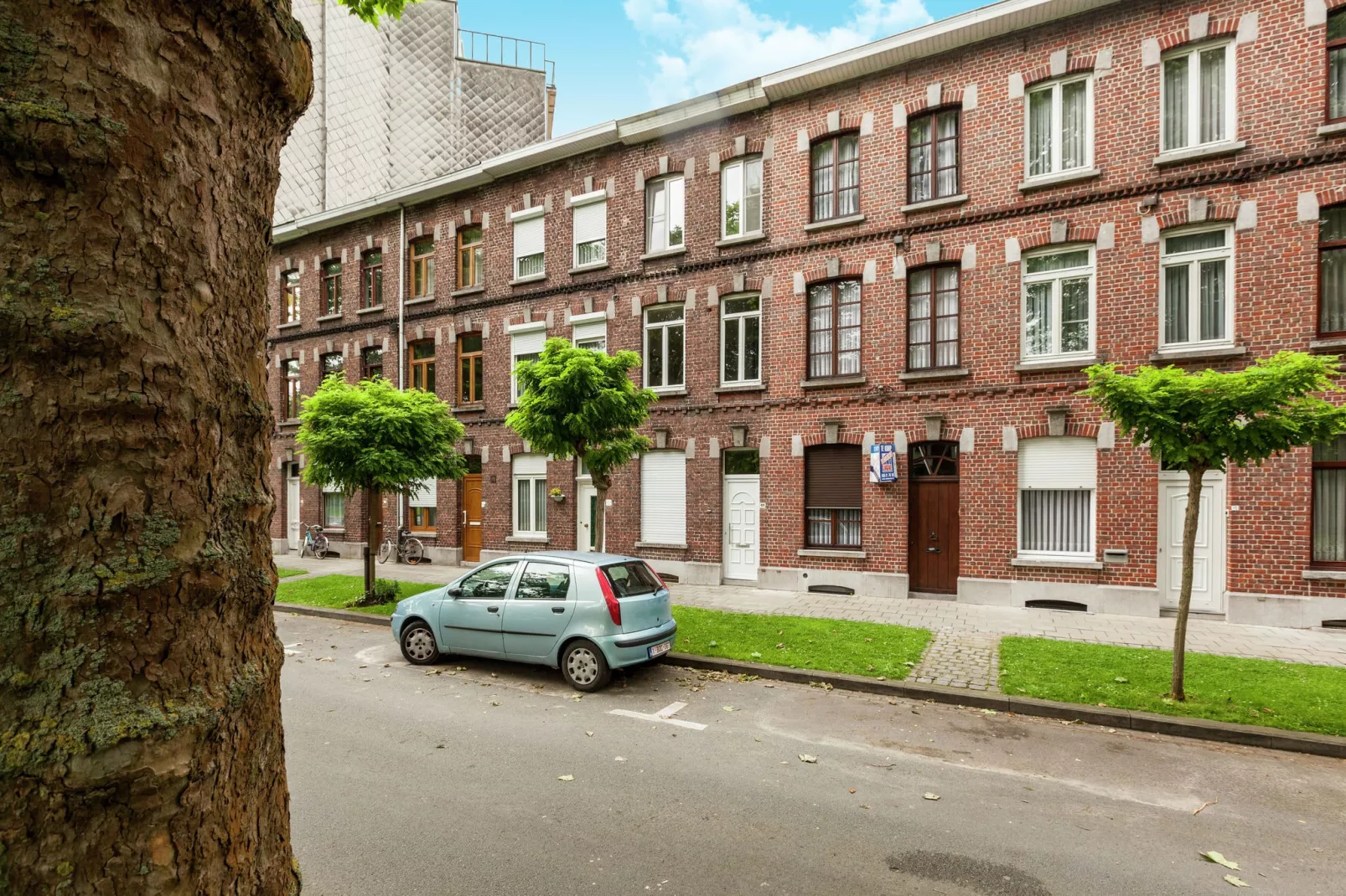 Leeuw van Vlaanderen-Exterior summer