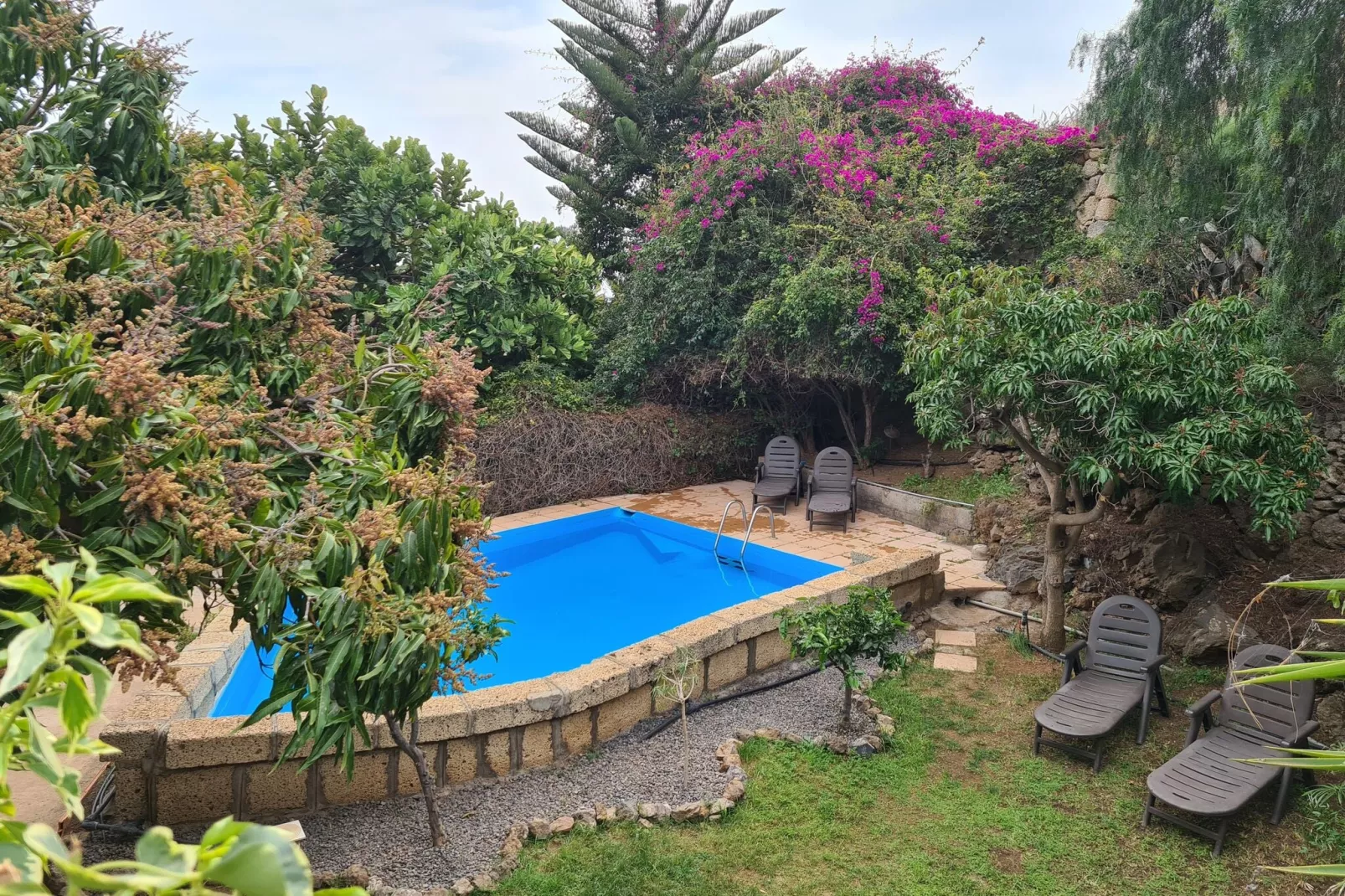 Mango-Pool