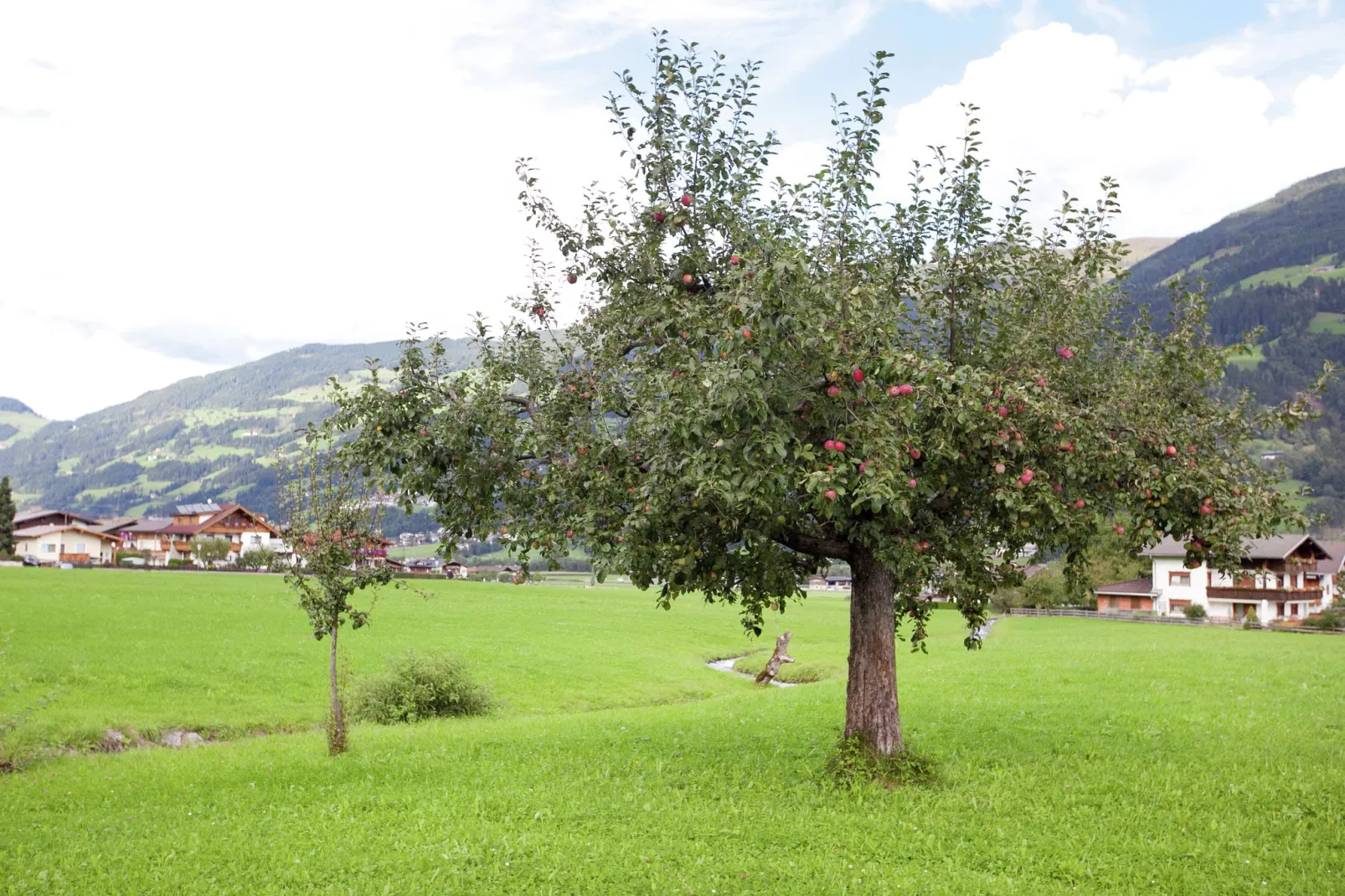 Apartment Luxner - Gebiete Sommer 1 km