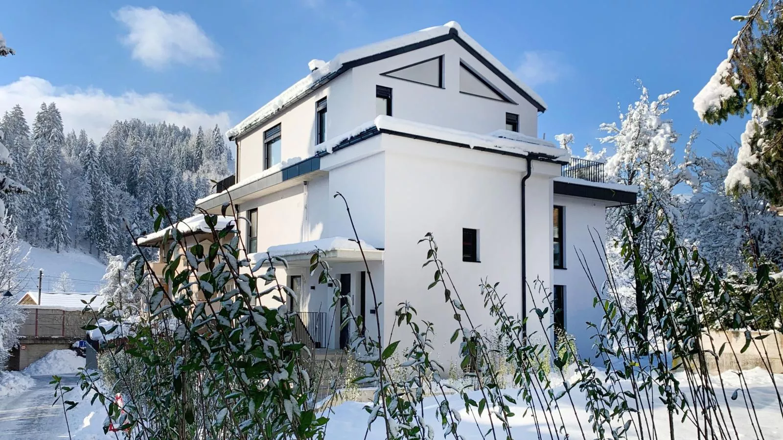 Lukasfeld 9 Top Franz-Exterior winter