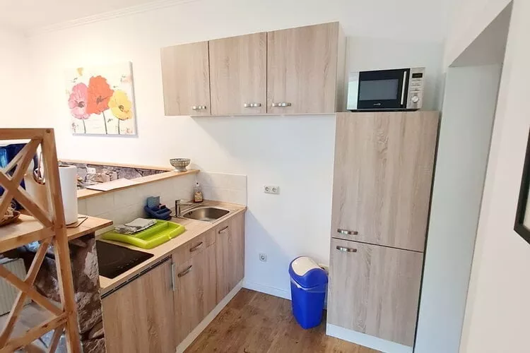 Nr3 Nebelsee 2 Personen-Kitchen