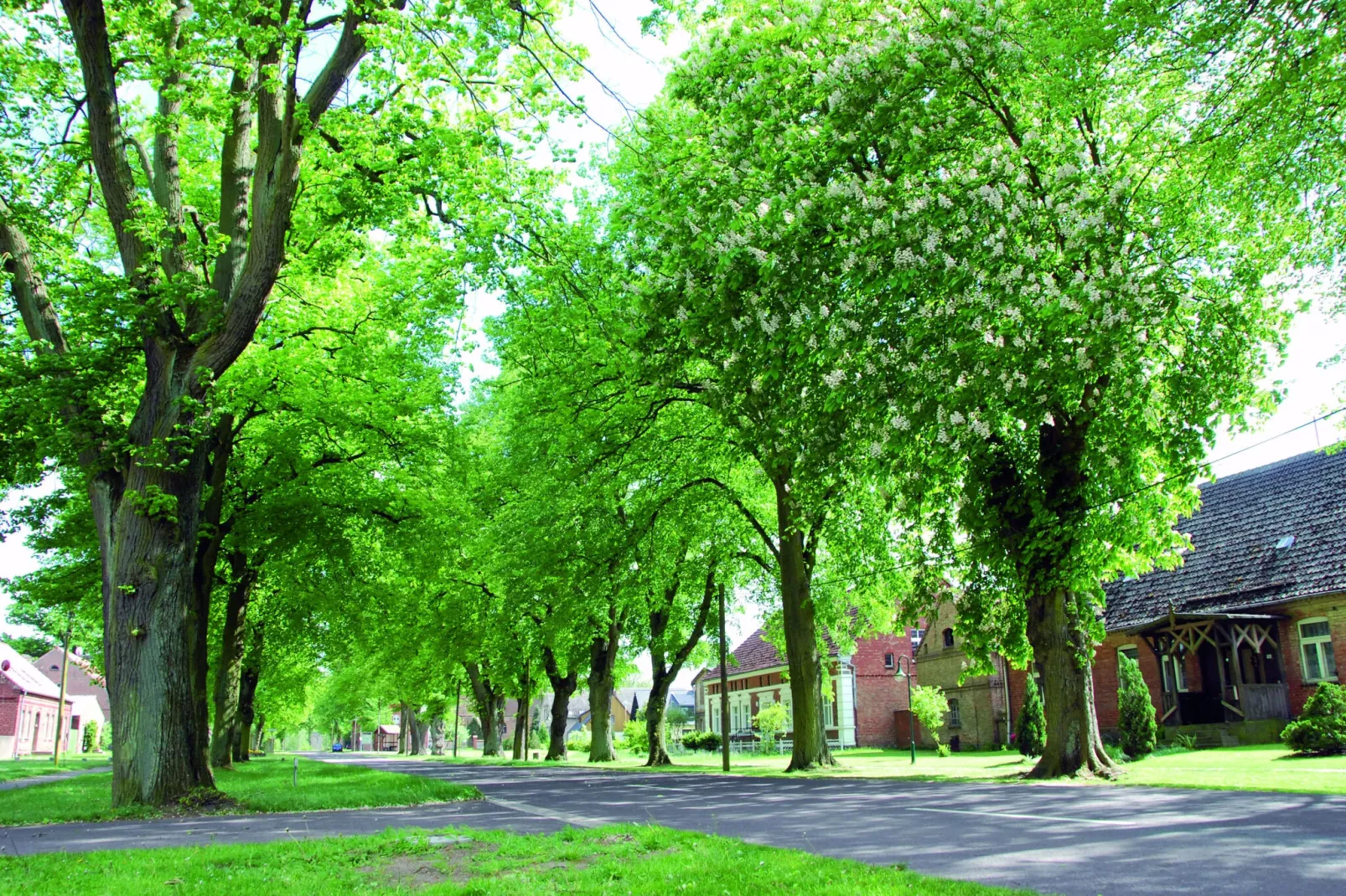 Nr9 - Meisennest 5 Personen-Areas summer 1km