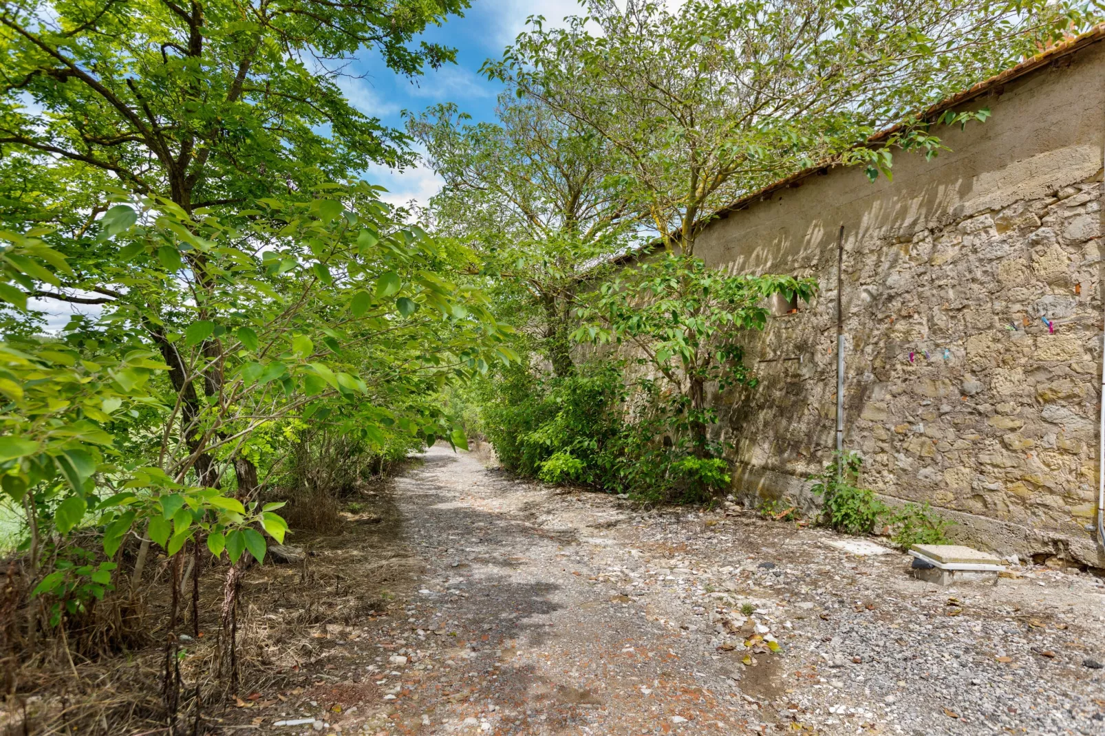 Le trois chambres-Gardens summer