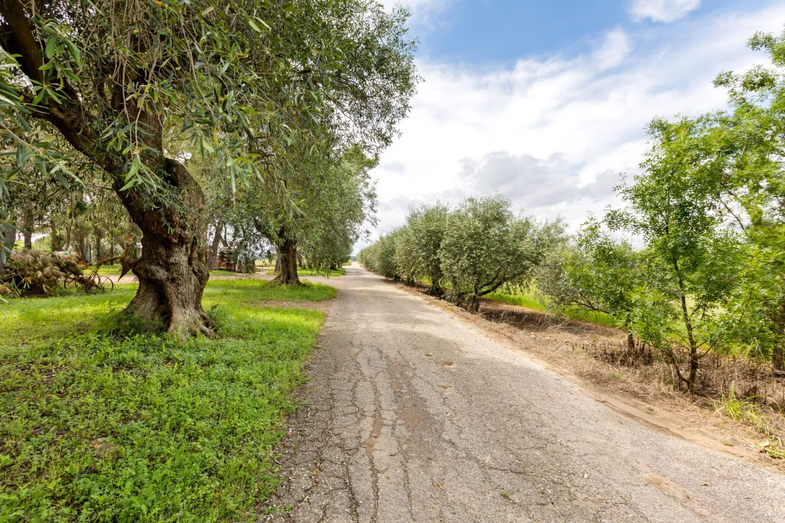 Le trois chambres-Areas summer 1km