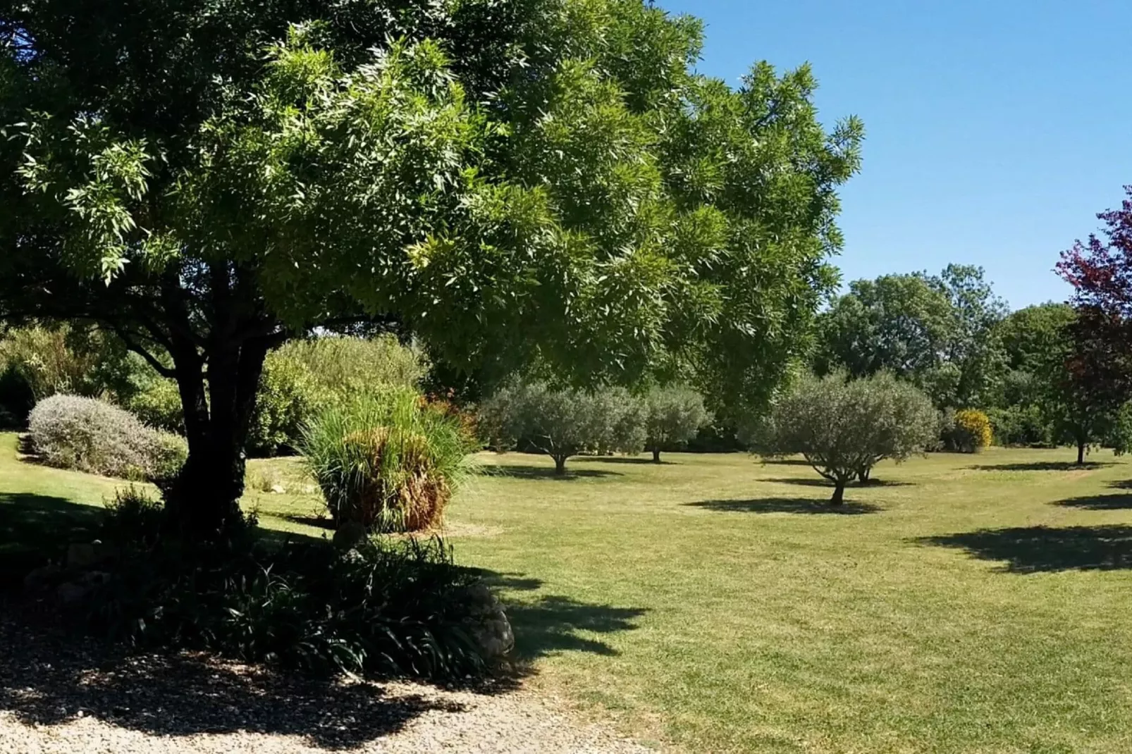 LA BOUSCADE MASTER HOUSE-Gardens summer
