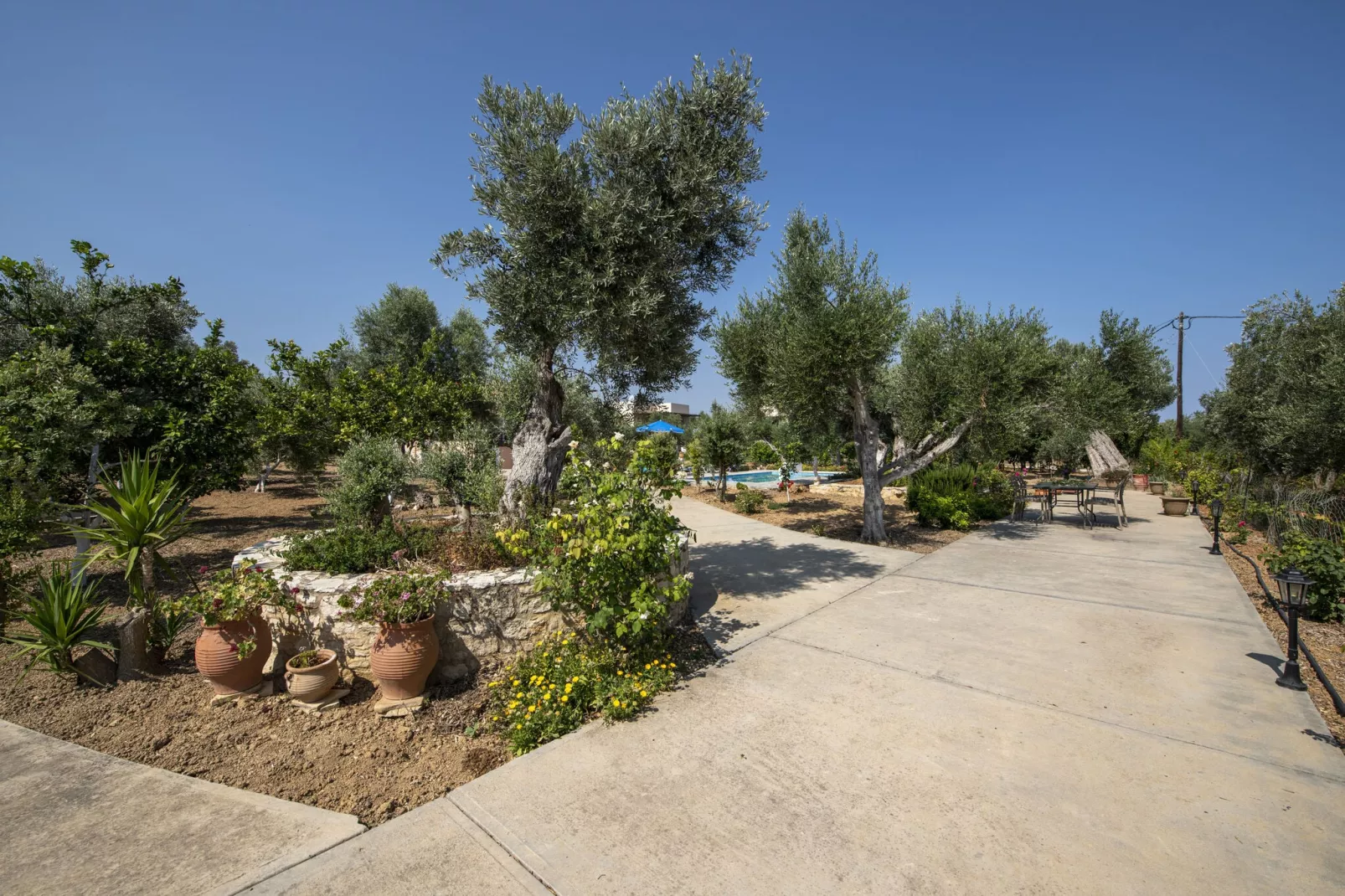 Villa Athina-Reception hall