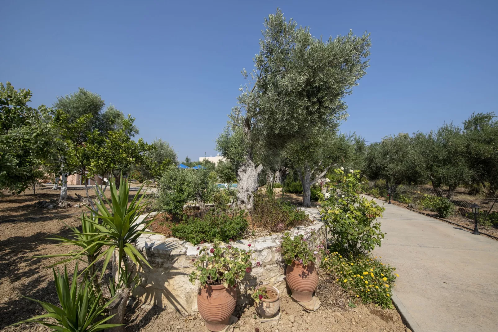 Villa Athina-Gardens summer
