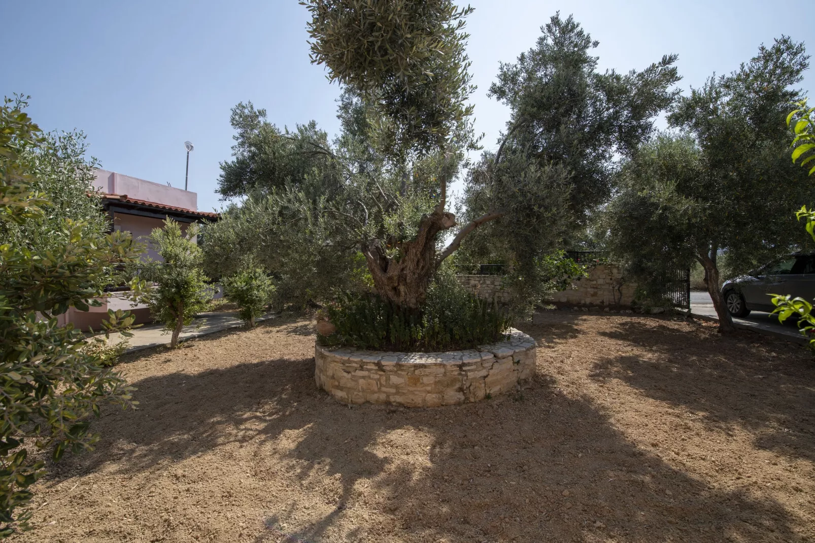 Villa Afroditi-Gardens summer