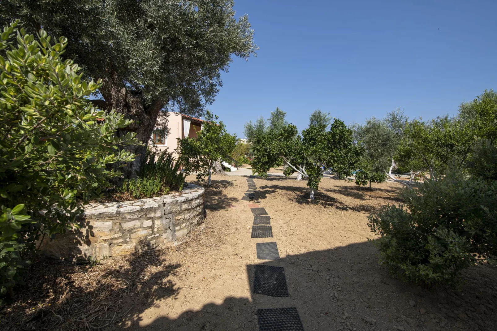 Villa Afroditi-Gardens summer