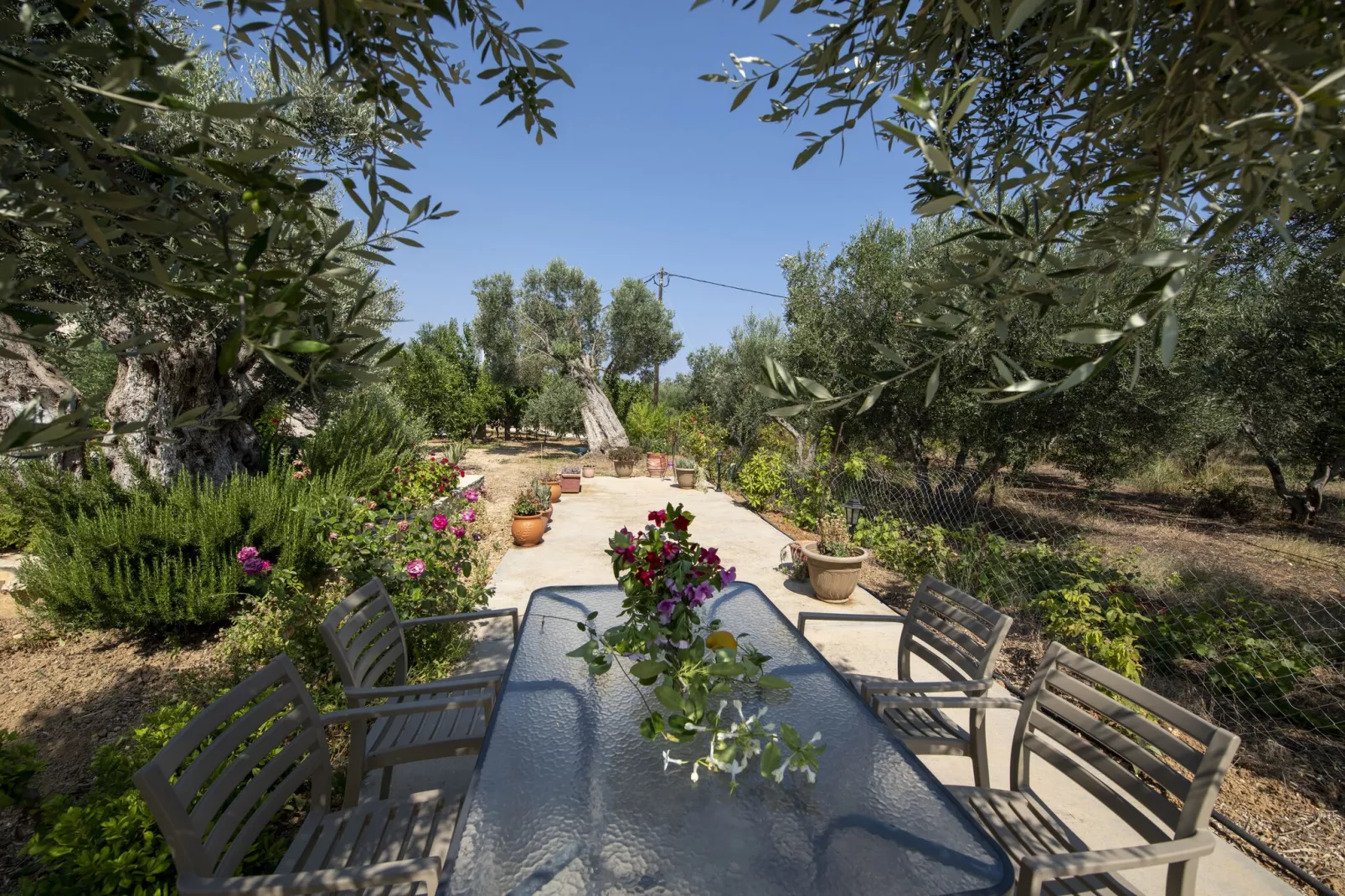 Villa Afroditi-Gardens summer