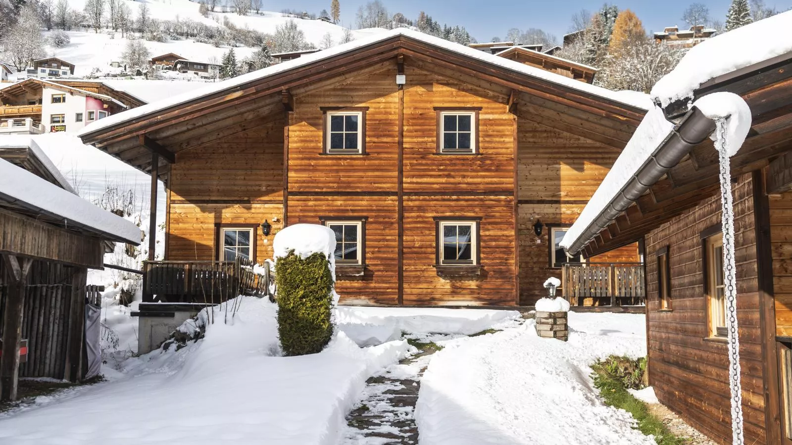 Urige Doppelhaushälfte 5-Exterior winter