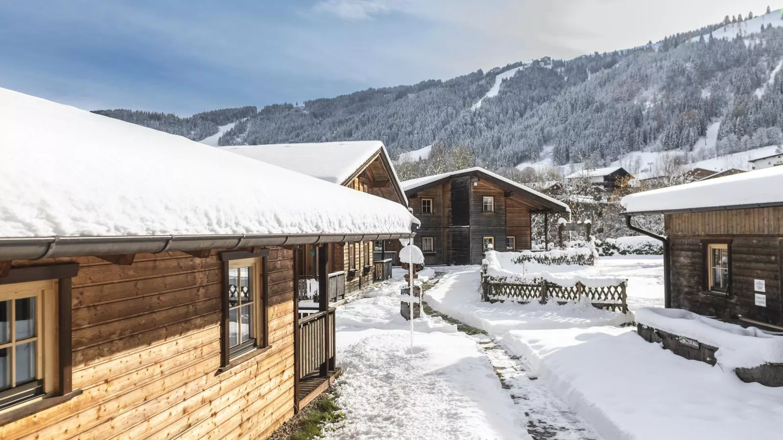 Urige Doppelhaushälfte 5-Exterior winter