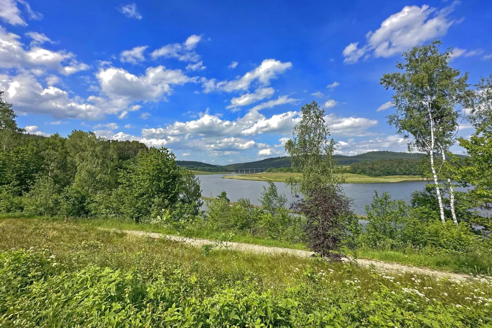 FERIENDORF SEEBLICK - Tiny Chalet am Eixendorfer See-Areas summer 1km