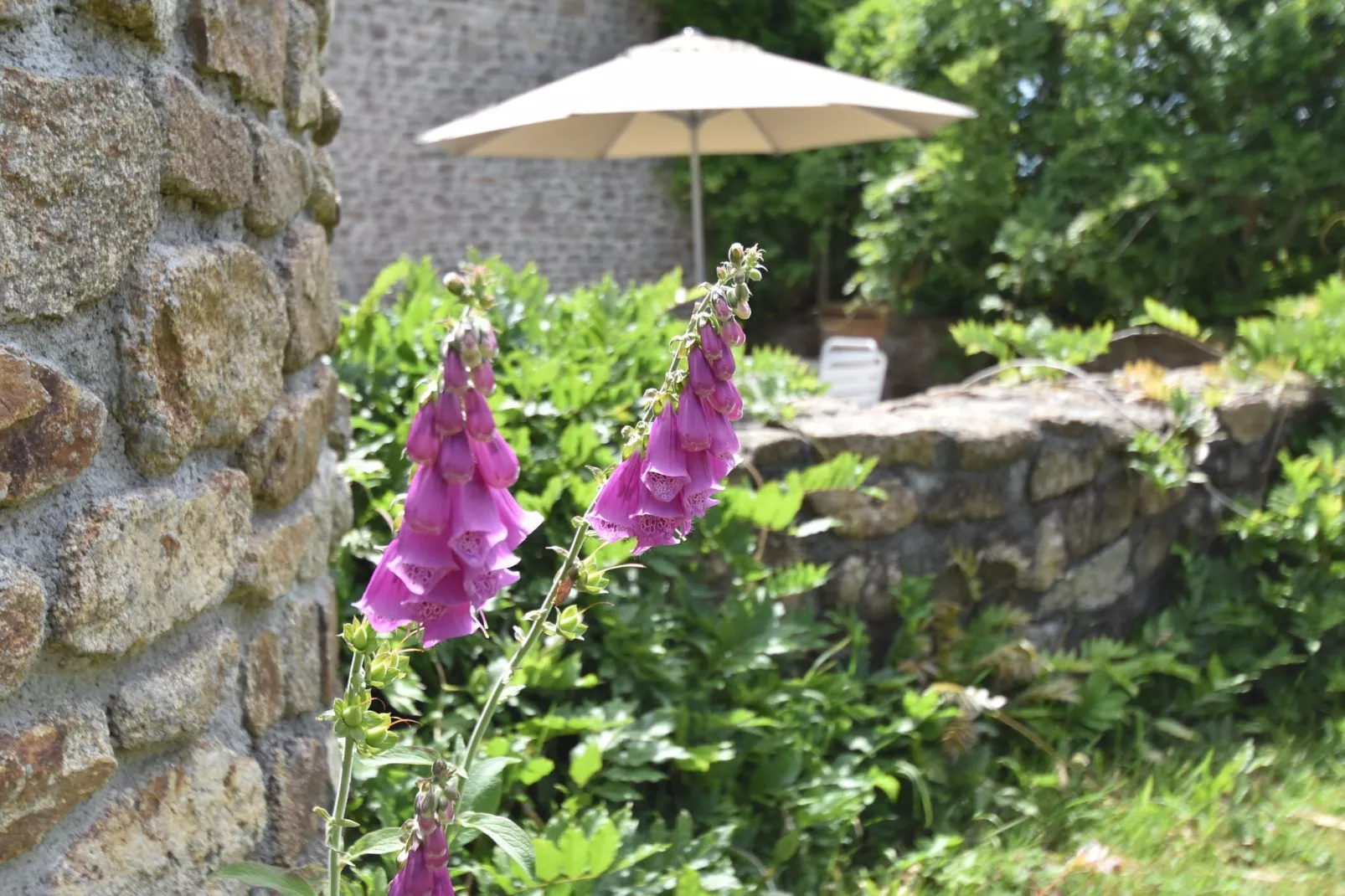 Les Volets Bleus-Gardens summer