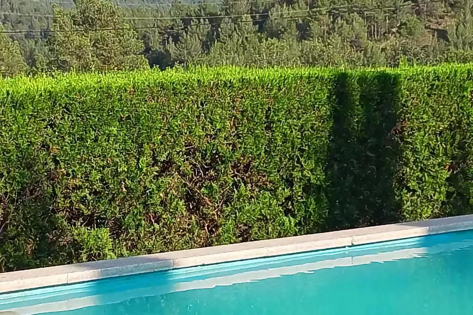 Mas Set Rengs 3-Piscine